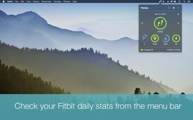 FitDay for Fitbit 2.1 : Main Window