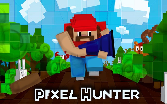 Pixel Hunter 1.1 : Main Window