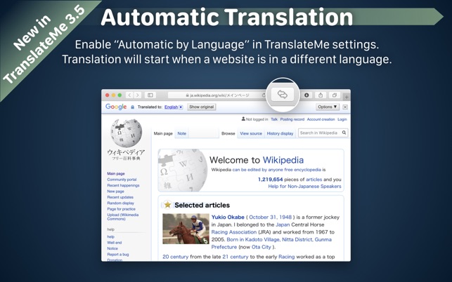 TranslateMe for Safari 3.5 : Main Window