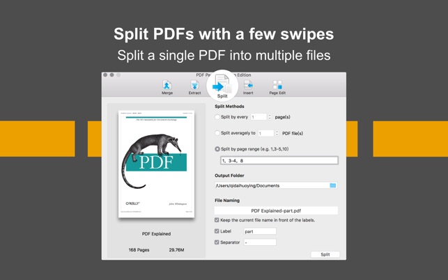 PDF Page Editor Pro Edition 1.2 : Main Window