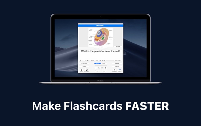 Flashcard Max 0.9 : Main Window