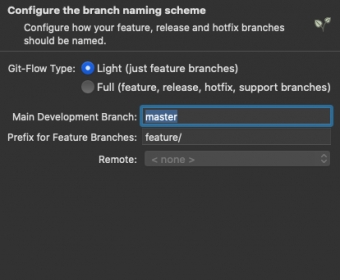 Branch settings window
