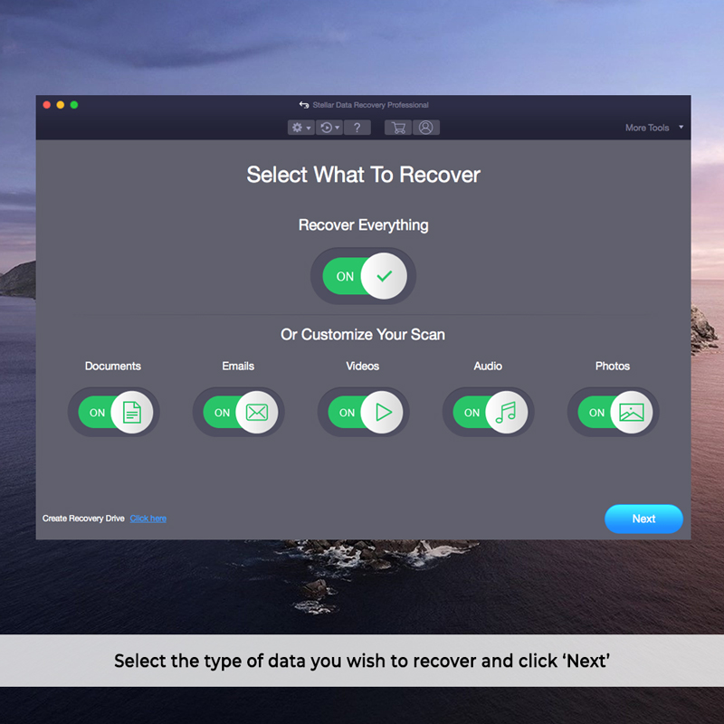 Stellar Data Recovery Professional Mac 10.1 : Main Window