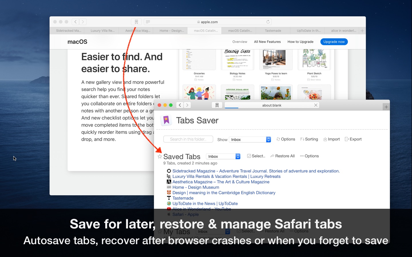 Tabs Saver for Safari 2.9 : Main Window