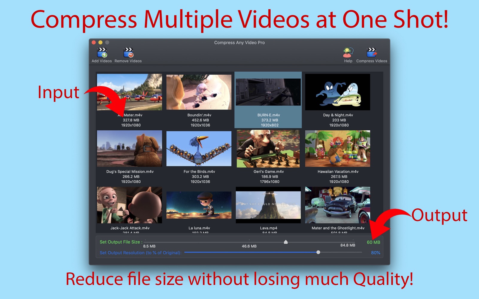 Compress Any Video Pro 2.2 : Main Window