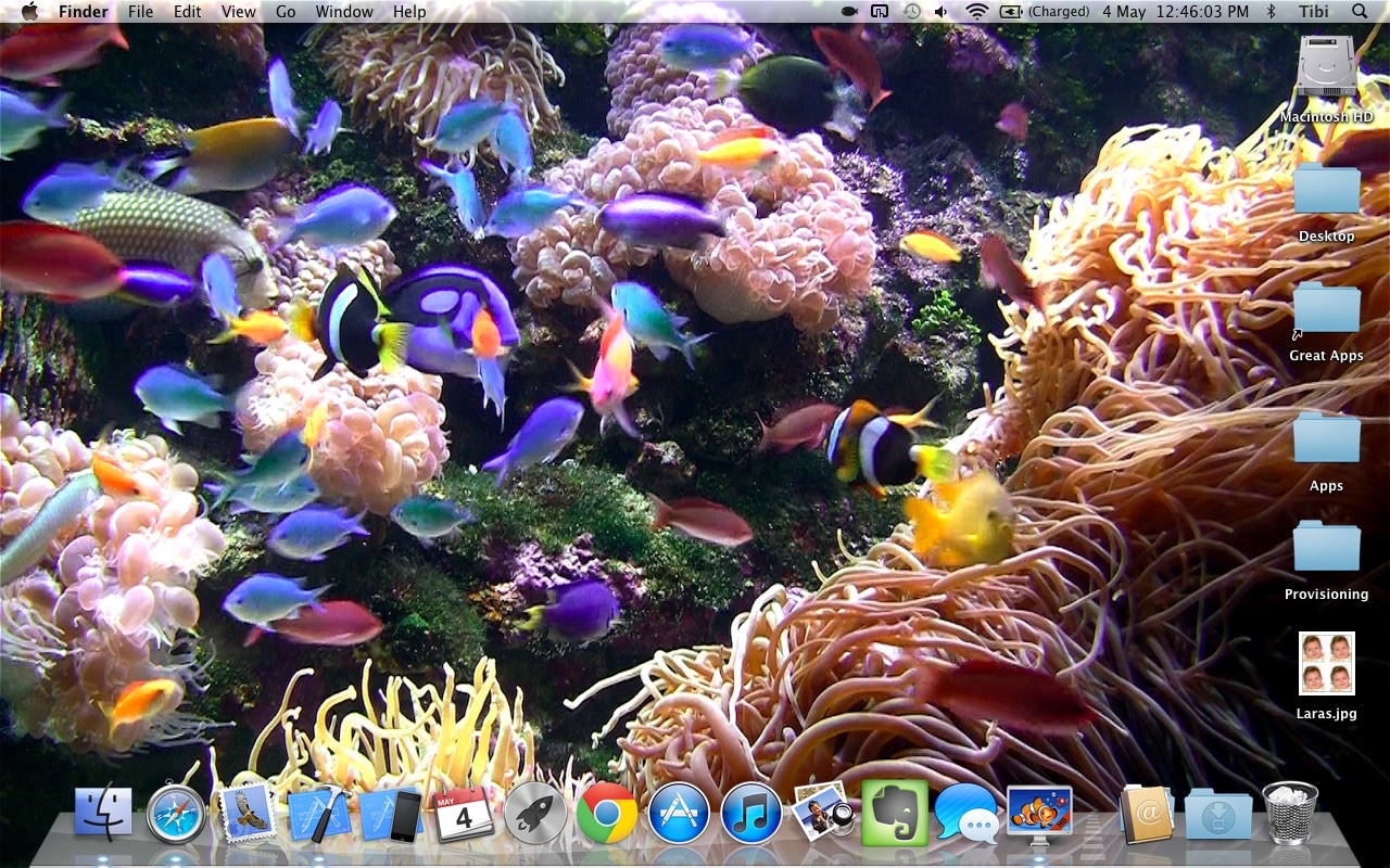 Desktop Aquarium Wallpapers 2.0 : Main Window