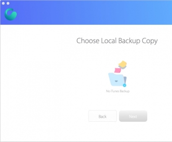 Choose Local Backup Copy