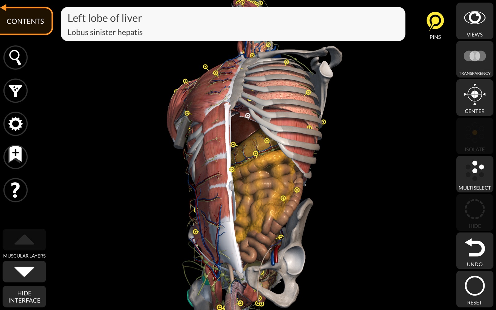 Anatomy 3D Atlas 3.1 : Main Window