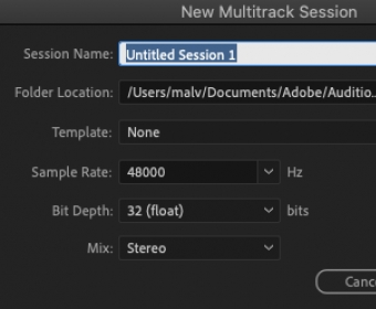 Multitrack session screen