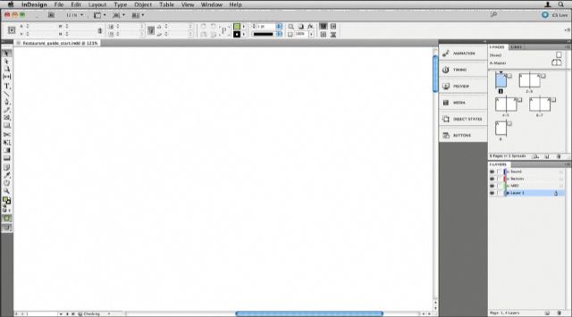 Adobe InDesign CS5 7.4 : Program window