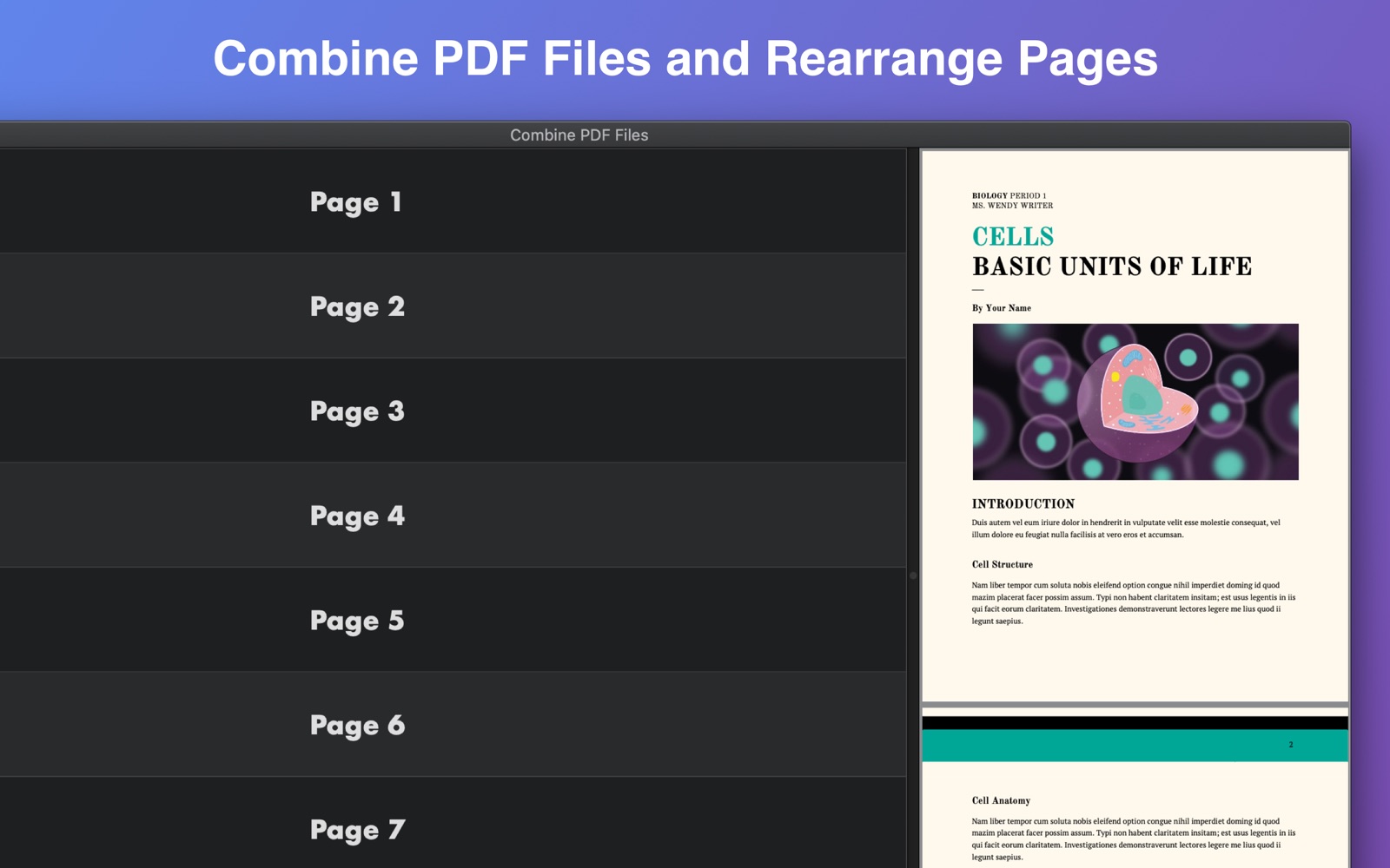 Combine PDF Files 1.2 : Main Window