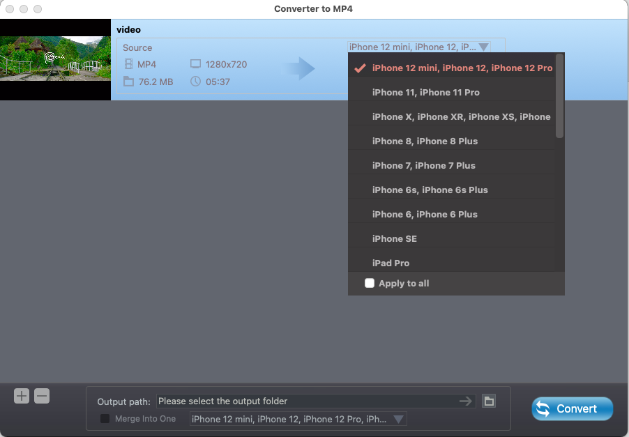Converter to MP4 4.0 : Format Options