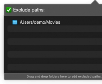 Exclude Paths Window