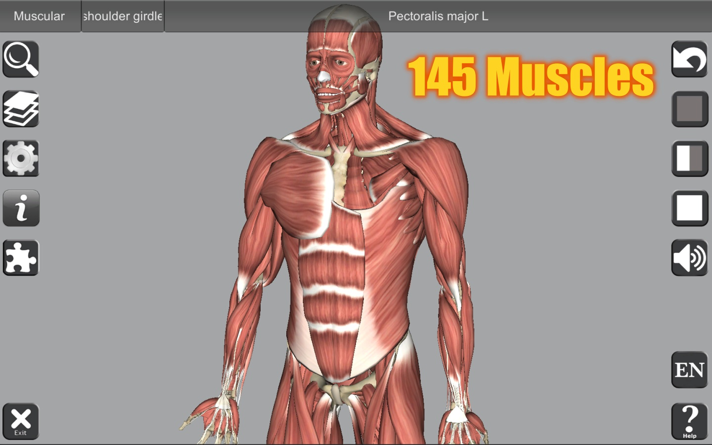 3D Anatomy Learning 5.4 : Main Window