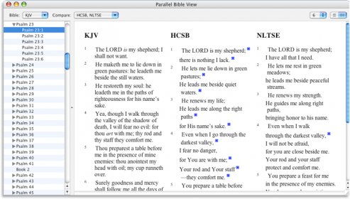 Parallel Bible view