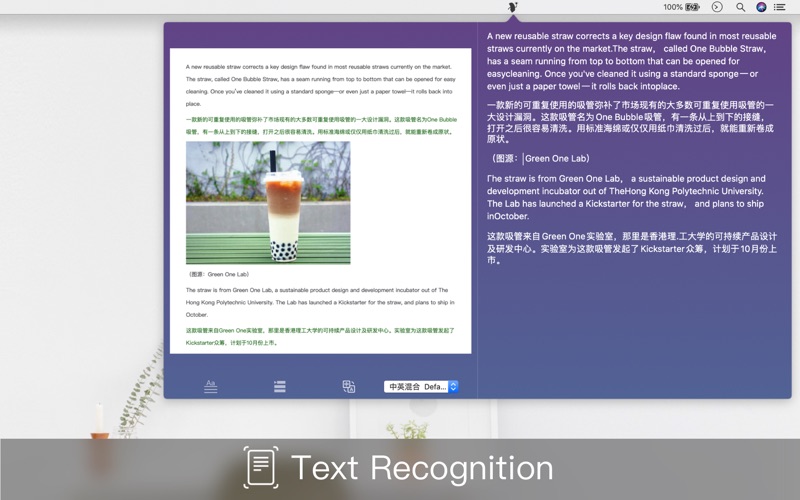 Text Scanner 1.5 : Main Window