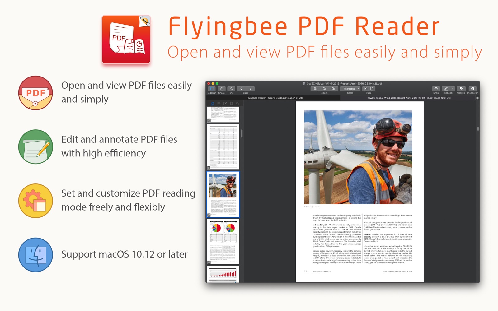 Flyingbee Reader 3.2 : Main Window