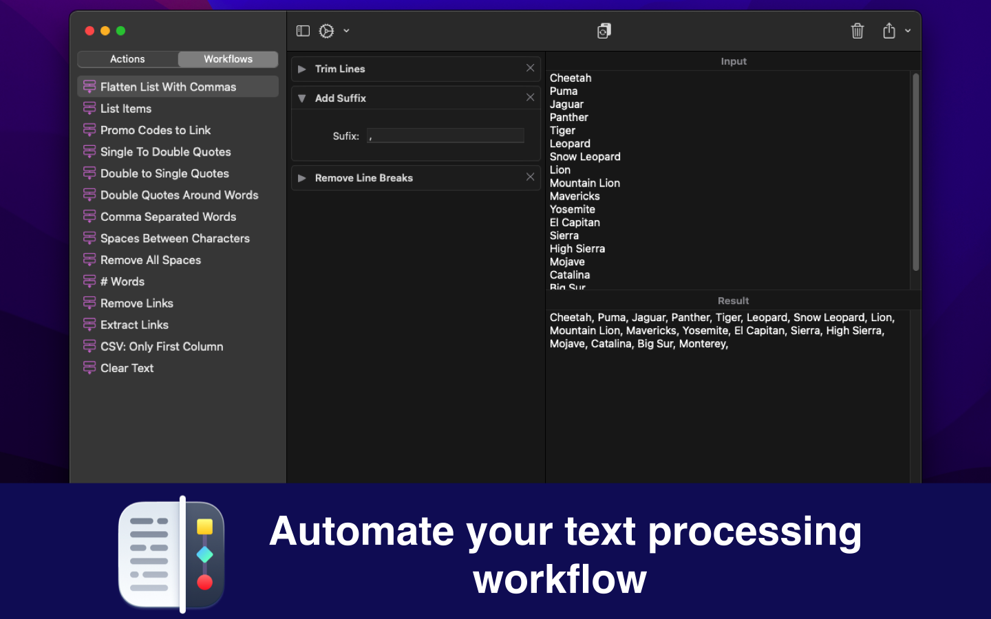 Text Workflow 1.2 : Main Window