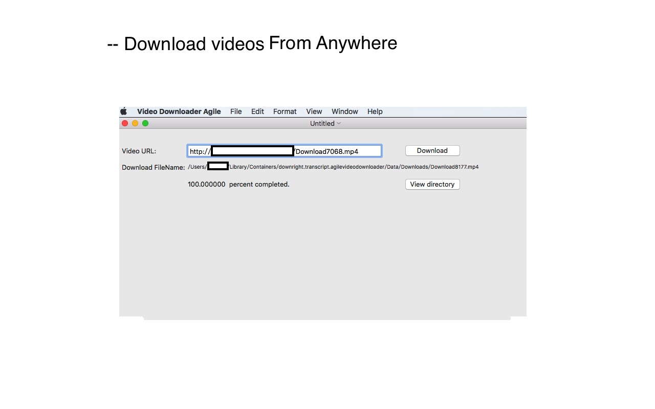 Video Downloader Agile 1.9 : Main Window