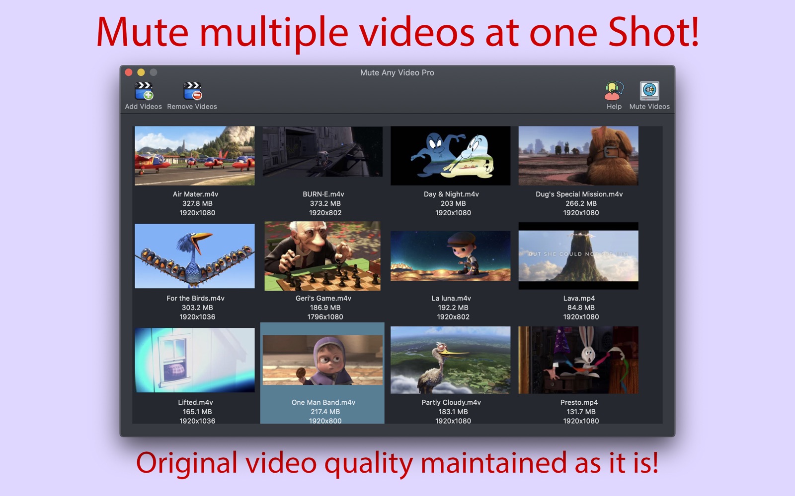 Mute Any Video Pro 2.0 : Main Window