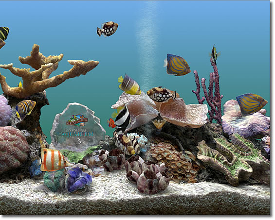 Marine Aquarium : Program window