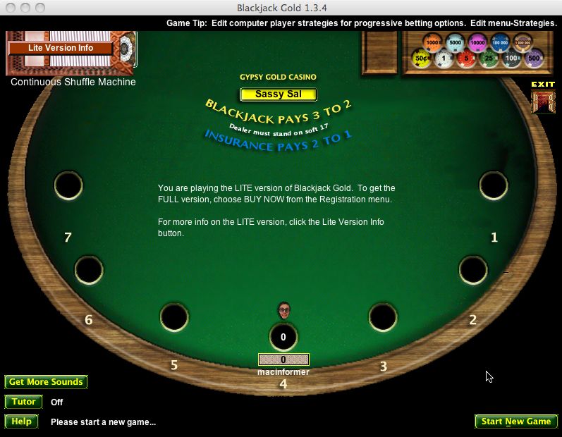 Blackjack Gold 1.3 : Main window