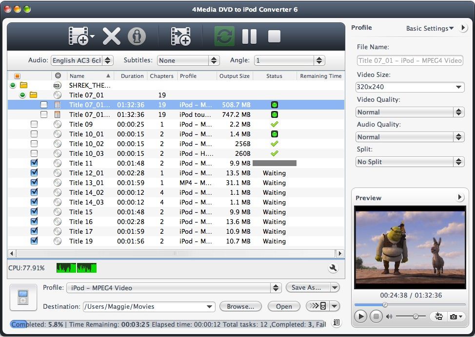 4Media DVD to iPod Converter 6 6.0 : General view
