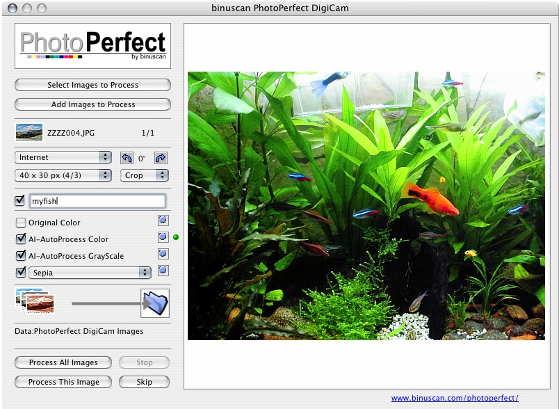 PhotoPerfect DigiCam 1.1 : Main window