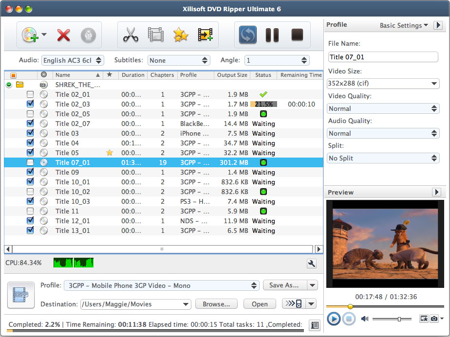 Xilisoft DVD Ripper Platinum 6.0 : Main window