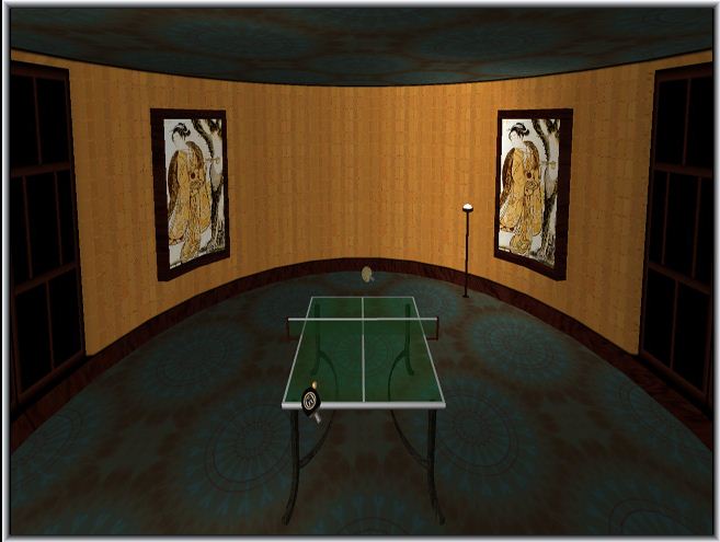 Table Tennis Pro Deluxe 2.3 : General view