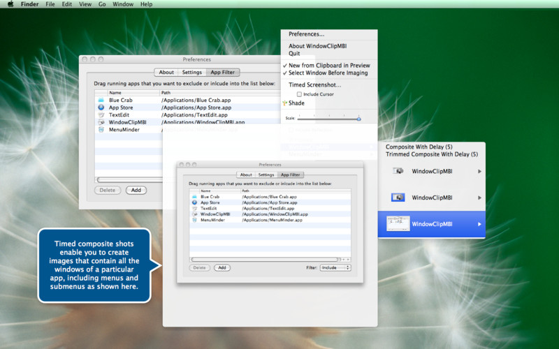 WindowClipMBI 1.1 : WindowClipMBI screenshot