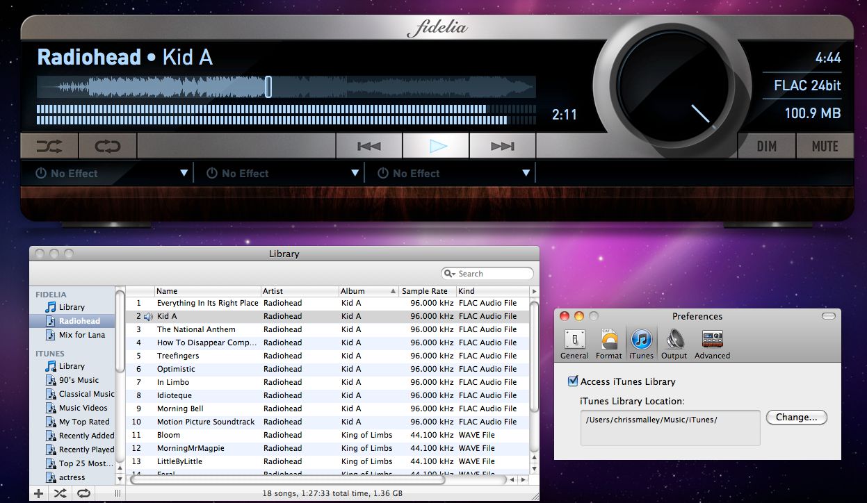 Fidelia 1.0 : Program windows