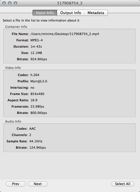 VideoMonkey 0.1 : Input File Info