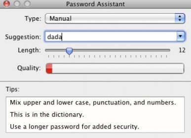 Password assistant