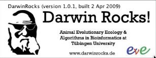 DarwinRocks-English 1.0 : Main window