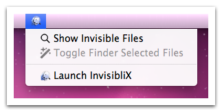 invisibliX 3.0 : Main window