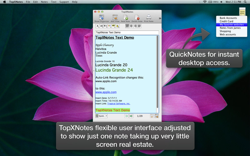 TopXNotes 1.7 : TopXNotes screenshot