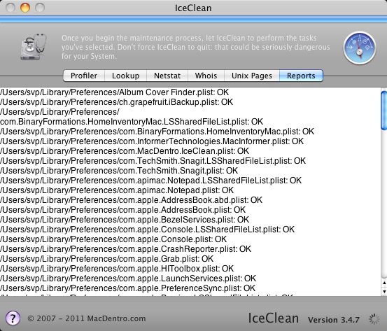 IceClean : Reports