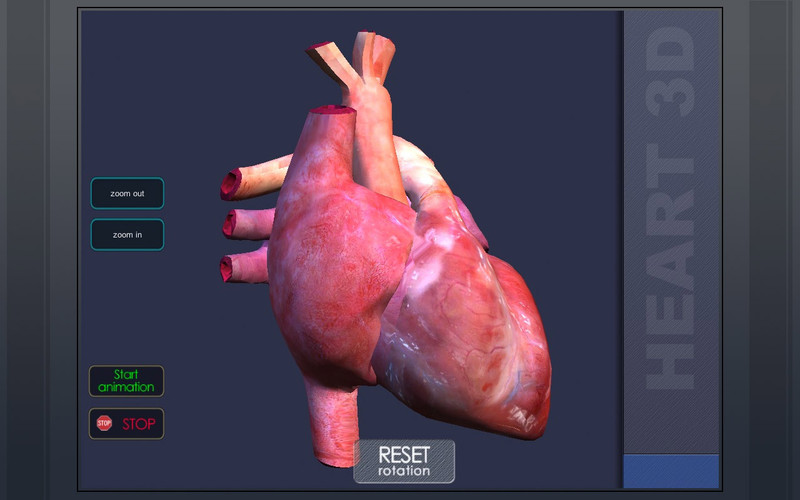 3DHeart 1.0 : 3DHeart screenshot
