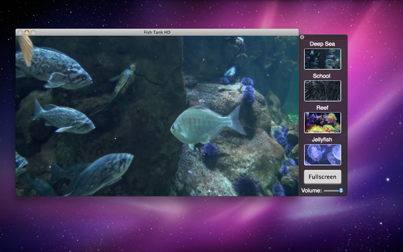 Fish Tank HD 1.1 : Main window