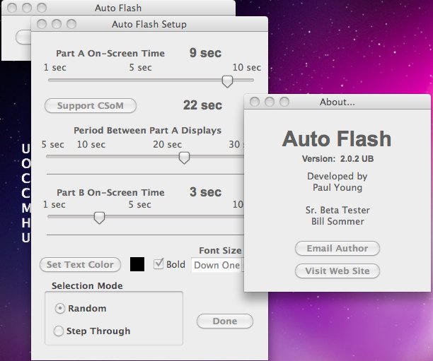 Auto Flash 2.0 : Main window