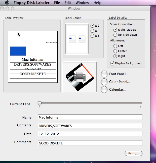 Floppy Disk Labeler 1.0 : General View