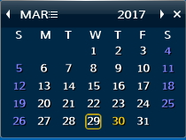 Desktop iCalendar Lite 3.0 : Calendar Window