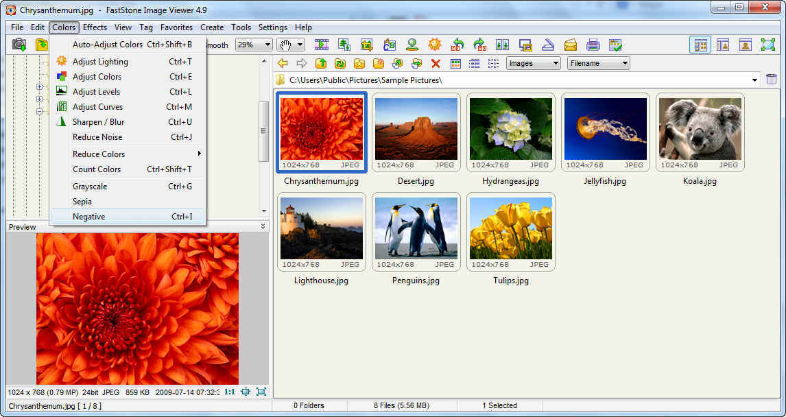 FastStone Image Viewer 4.9 : Colors Options