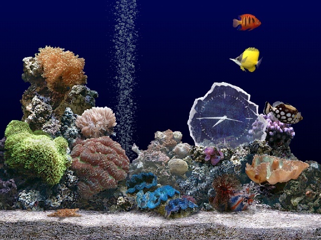 Marine Aquarium 2.0 : screenshot