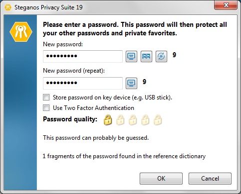 Steganos Privacy Suite 19.0 : Create Password