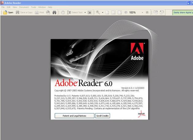 Adobe Interactive Forms Update SP1 6.0 : MainWindow