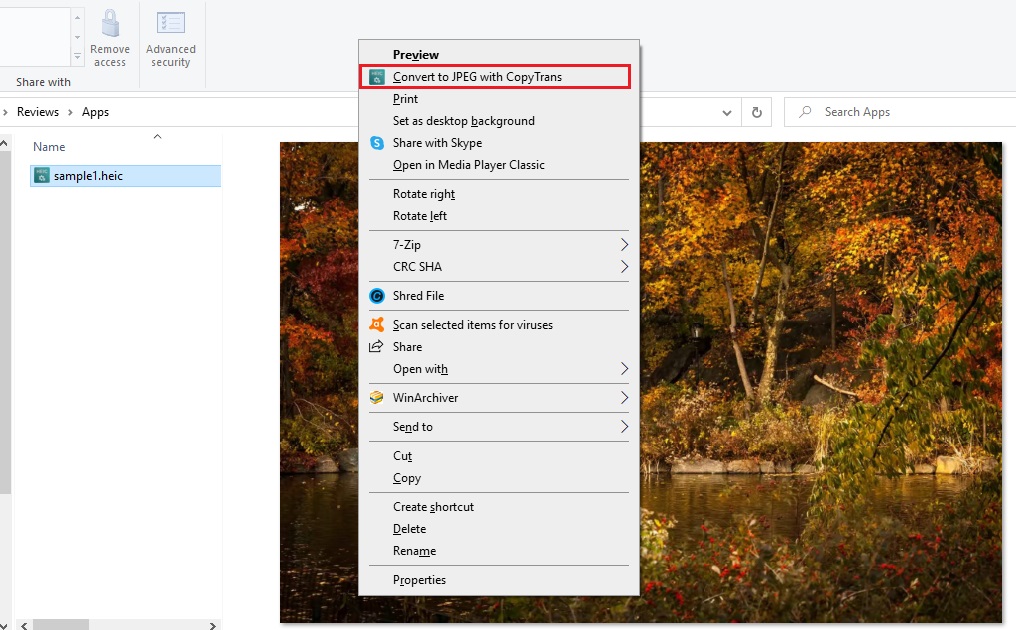 CopyTrans HEIC for Windows 1.0 : Image Converter Option