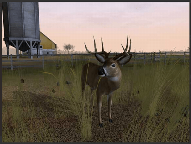 Deer Hunter 5 1.0 : New deer species