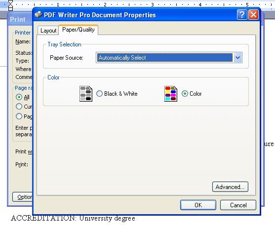 PDF Writer Pro 2.0 : Document properties